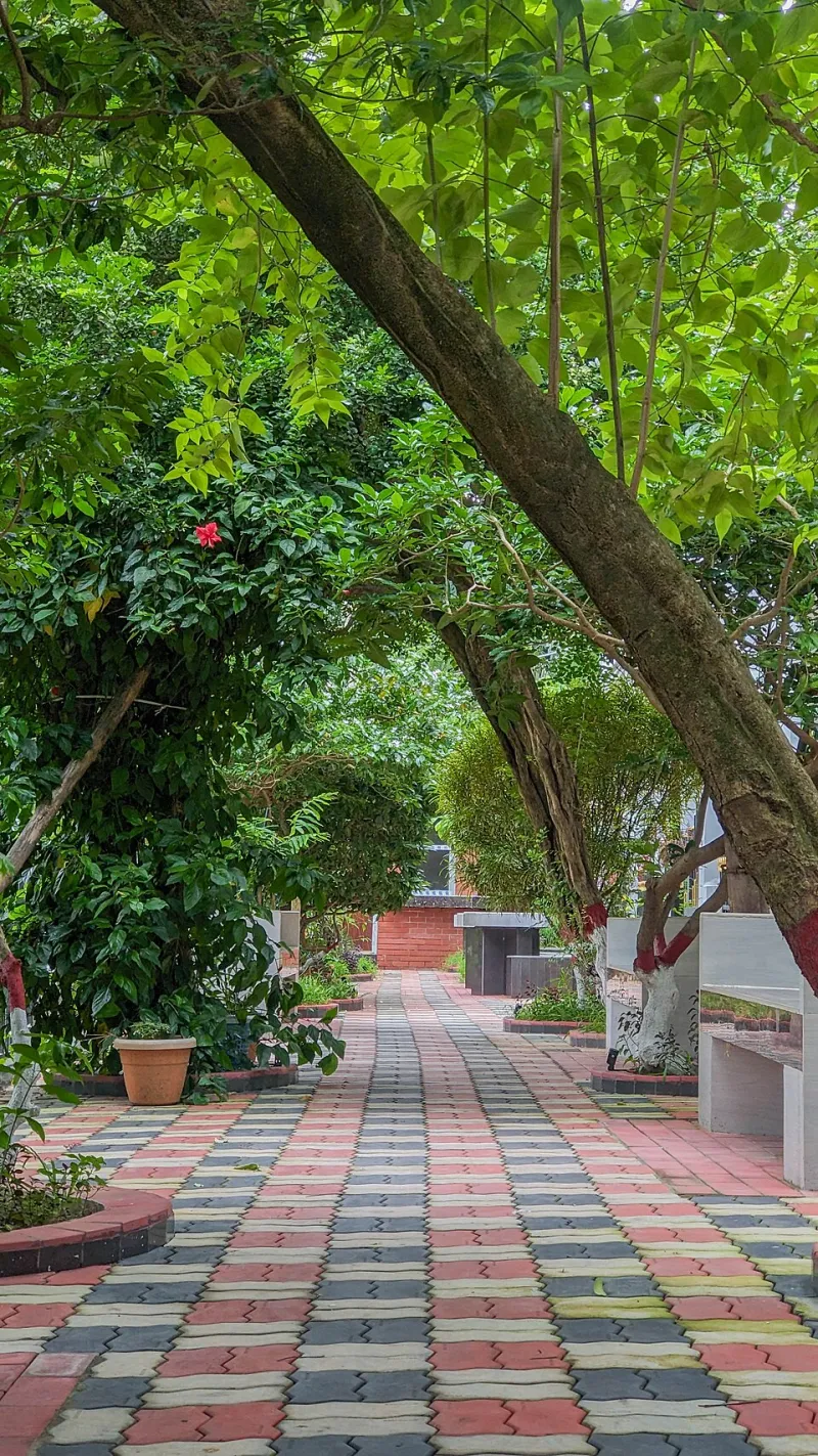 Growing Resilient: What Indian and Filipino Farming Wisdom Is Teaching American Gardeners