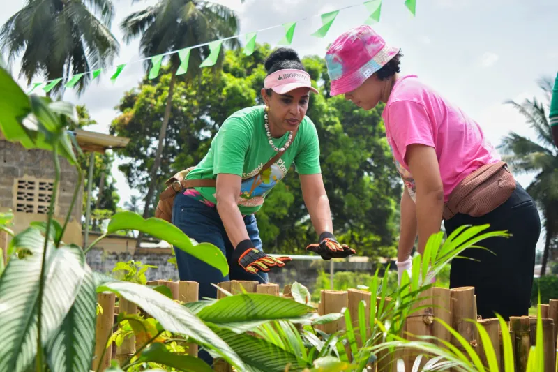 Wet Season Wisdom: How Indian and Filipino Gardeners Are Teaching American Cities to Grow Like the Tropics